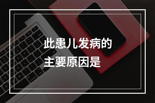 此患儿发病的主要原因是