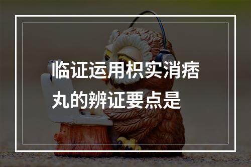 临证运用枳实消痞丸的辨证要点是