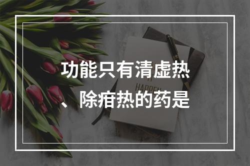 功能只有清虚热、除疳热的药是