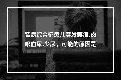 肾病综合征患儿突发腰痛.肉眼血尿.少尿，可能的原因是