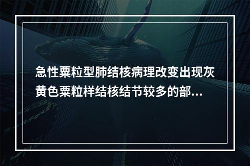 急性粟粒型肺结核病理改变出现灰黄色粟粒样结核结节较多的部位是