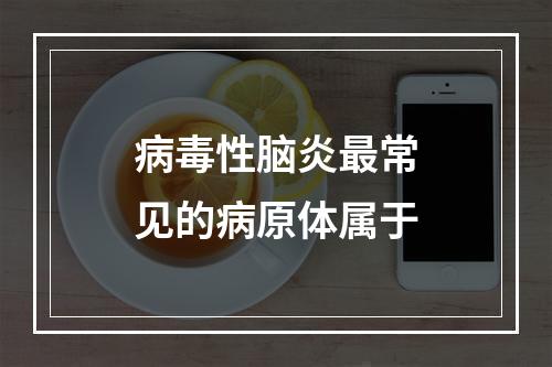 病毒性脑炎最常见的病原体属于