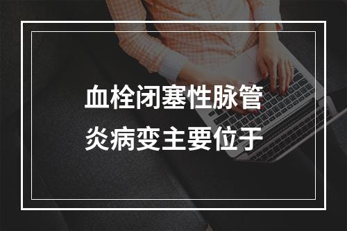 血栓闭塞性脉管炎病变主要位于