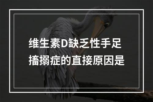 维生素D缺乏性手足搐搦症的直接原因是