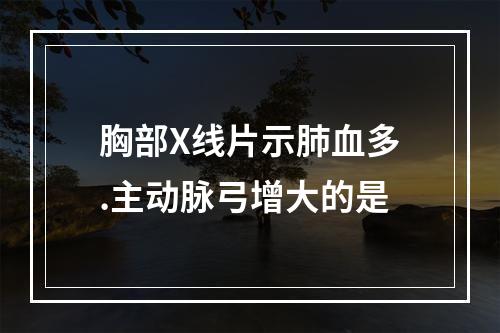 胸部X线片示肺血多.主动脉弓增大的是