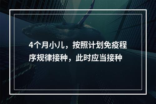 4个月小儿，按照计划免疫程序规律接种，此时应当接种