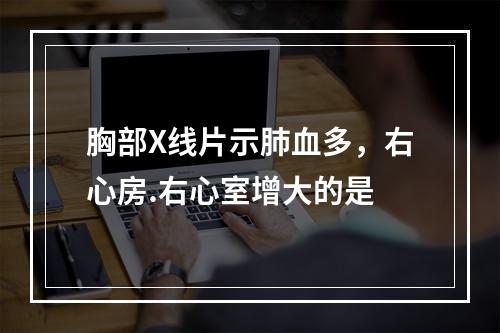 胸部X线片示肺血多，右心房.右心室增大的是