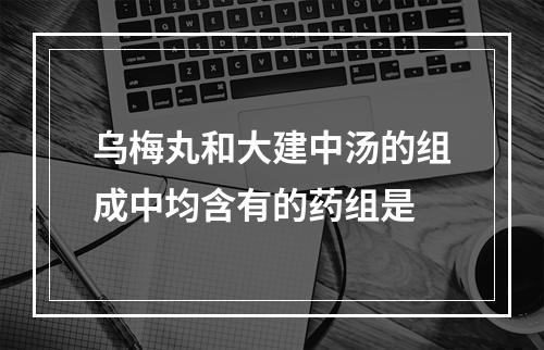 乌梅丸和大建中汤的组成中均含有的药组是