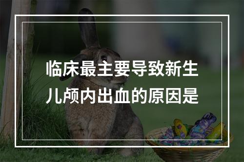 临床最主要导致新生儿颅内出血的原因是