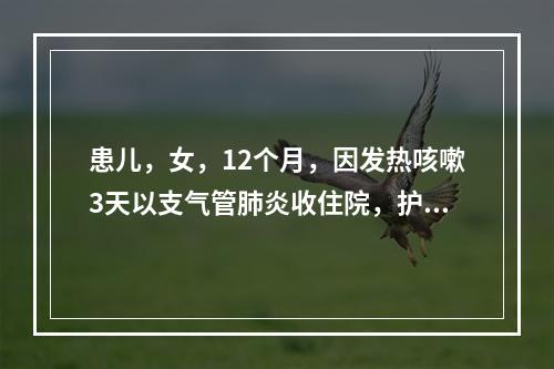 患儿，女，12个月，因发热咳嗽3天以支气管肺炎收住院，护士在