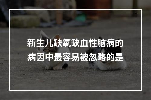 新生儿缺氧缺血性脑病的病因中最容易被忽略的是