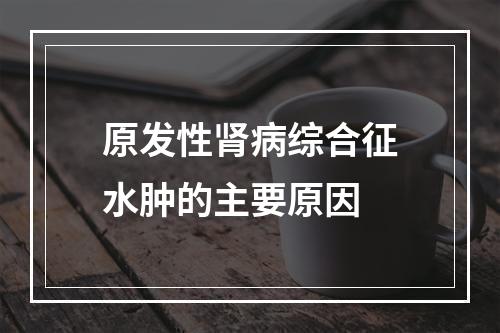 原发性肾病综合征水肿的主要原因