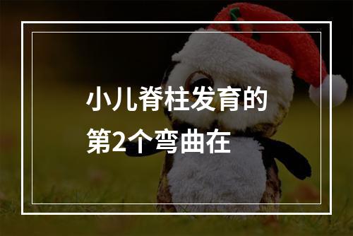 小儿脊柱发育的第2个弯曲在