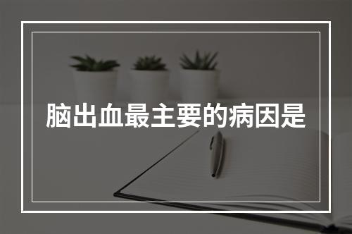 脑出血最主要的病因是