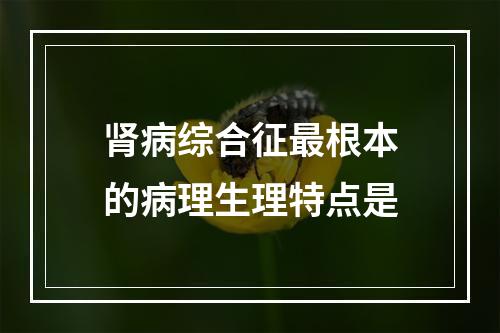 肾病综合征最根本的病理生理特点是