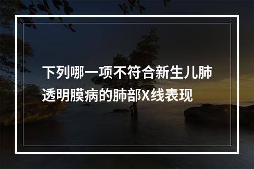 下列哪一项不符合新生儿肺透明膜病的肺部X线表现