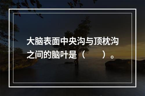 大脑表面中央沟与顶枕沟之间的脑叶是（　　）。