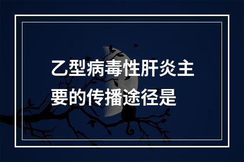 乙型病毒性肝炎主要的传播途径是