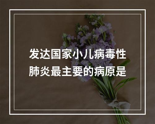 发达国家小儿病毒性肺炎最主要的病原是