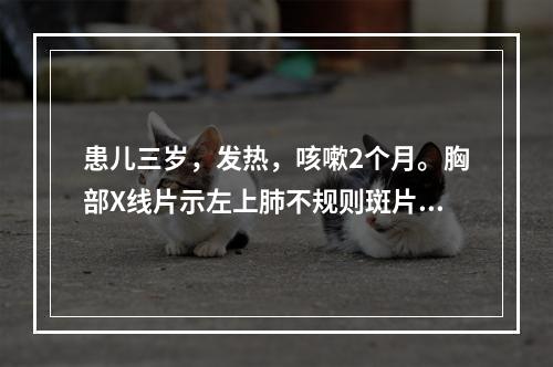 患儿三岁，发热，咳嗽2个月。胸部X线片示左上肺不规则斑片状阴