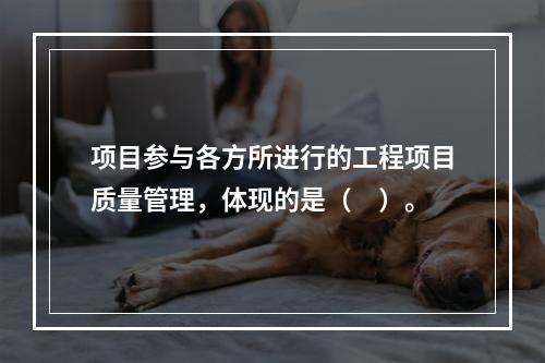 项目参与各方所进行的工程项目质量管理，体现的是（　）。