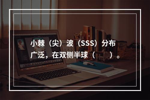 小棘（尖）波（SSS）分布广泛，在双侧半球（　　）。