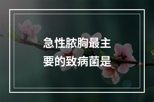 急性脓胸最主要的致病菌是