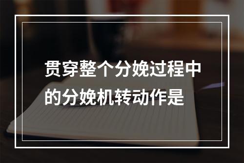 贯穿整个分娩过程中的分娩机转动作是