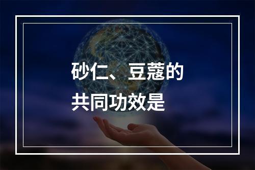 砂仁、豆蔻的共同功效是