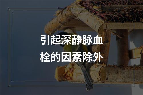 引起深静脉血栓的因素除外