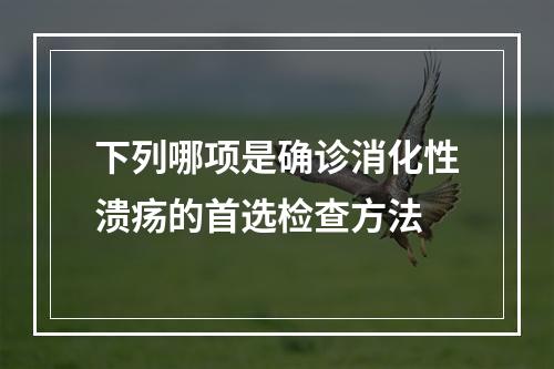 下列哪项是确诊消化性溃疡的首选检查方法