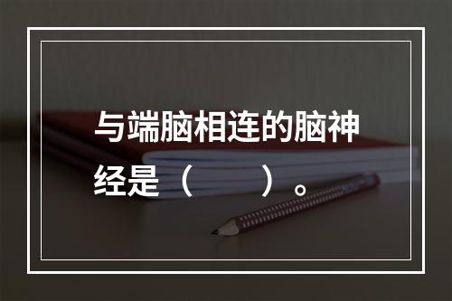 与端脑相连的脑神经是（　　）。