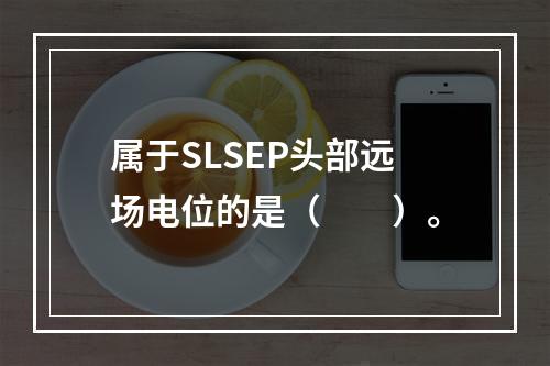 属于SLSEP头部远场电位的是（　　）。