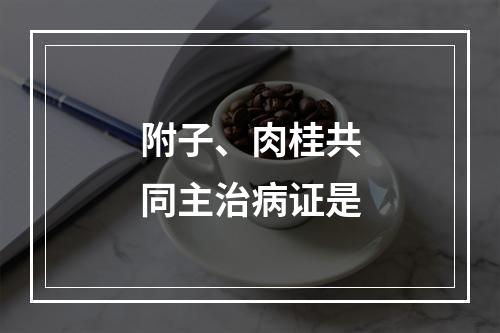 附子、肉桂共同主治病证是