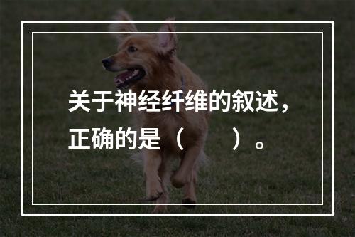 关于神经纤维的叙述，正确的是（　　）。