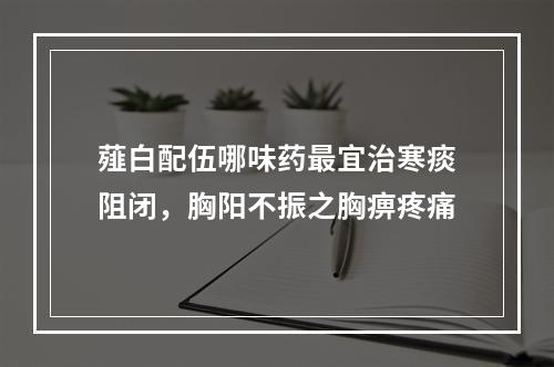 薤白配伍哪味药最宜治寒痰阻闭，胸阳不振之胸痹疼痛