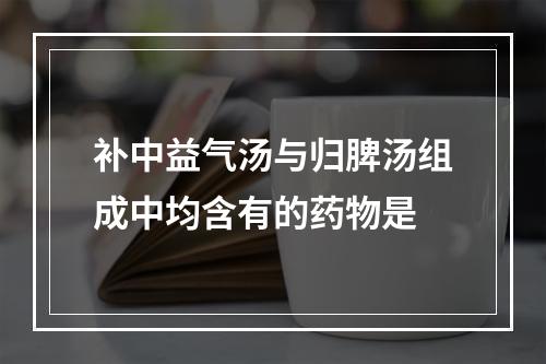 补中益气汤与归脾汤组成中均含有的药物是