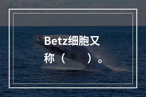 Betz细胞又称（　　）。