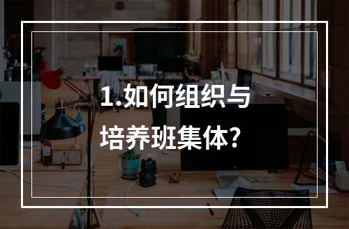 1.如何组织与培养班集体?