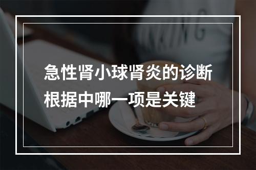 急性肾小球肾炎的诊断根据中哪一项是关键