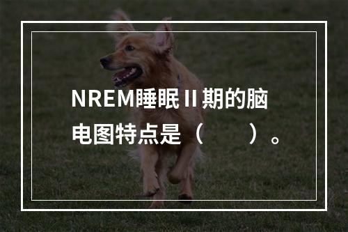 NREM睡眠Ⅱ期的脑电图特点是（　　）。