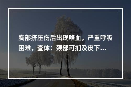 胸部挤压伤后出现咯血，严重呼吸困难，查体：颈部可扪及皮下气肿