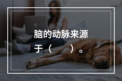 脑的动脉来源于（　　）。