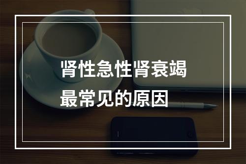 肾性急性肾衰竭最常见的原因