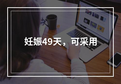 妊娠49天，可采用