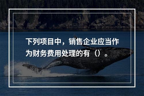 下列项目中，销售企业应当作为财务费用处理的有（）。