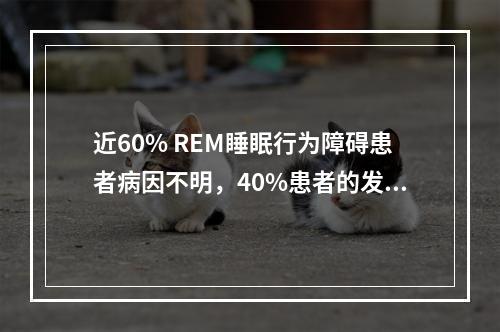 近60% REM睡眠行为障碍患者病因不明，40%患者的发病