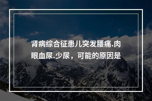 肾病综合征患儿突发腰痛.肉眼血尿.少尿，可能的原因是