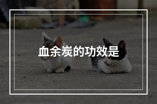 血余炭的功效是