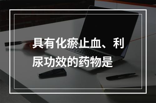 具有化瘀止血、利尿功效的药物是